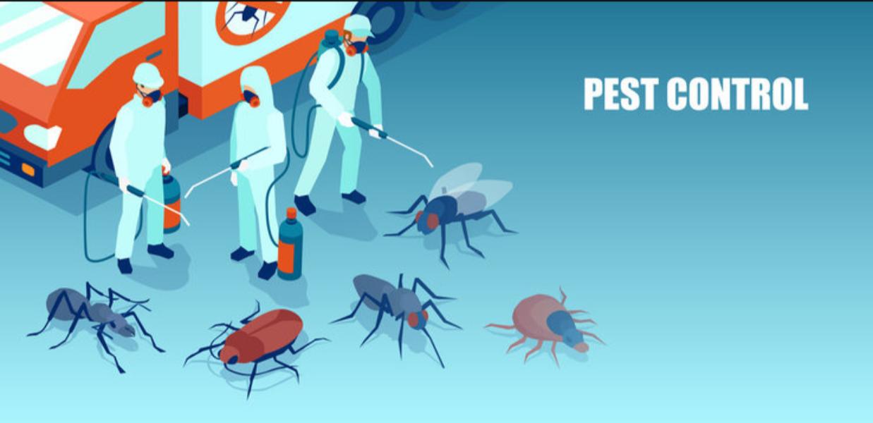 odorless pest control sprays