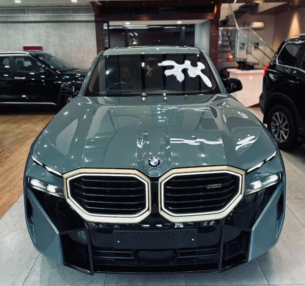 bmw car ppf in adyar