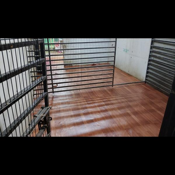 professional pet care near me