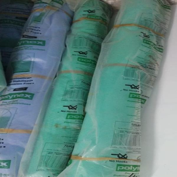 mosquito and pest window scree