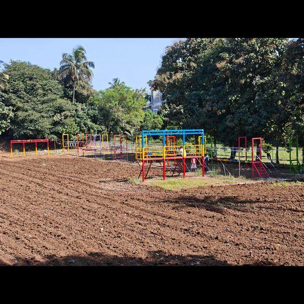 mango fest pune mango festival