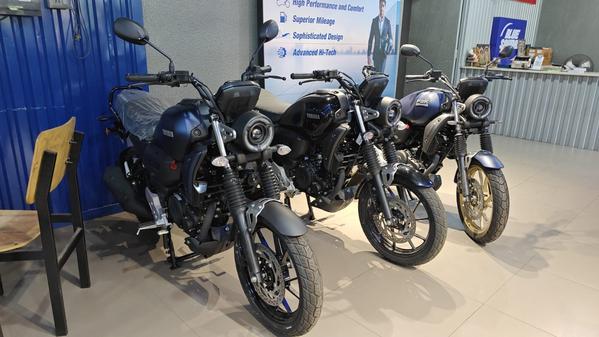 professional warranty document