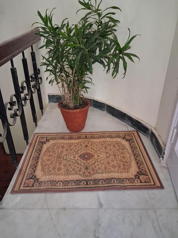 PRODUCT DESCRIPTION These Bamb