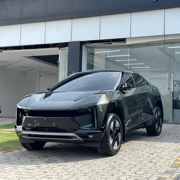 vehicle paint protection servi