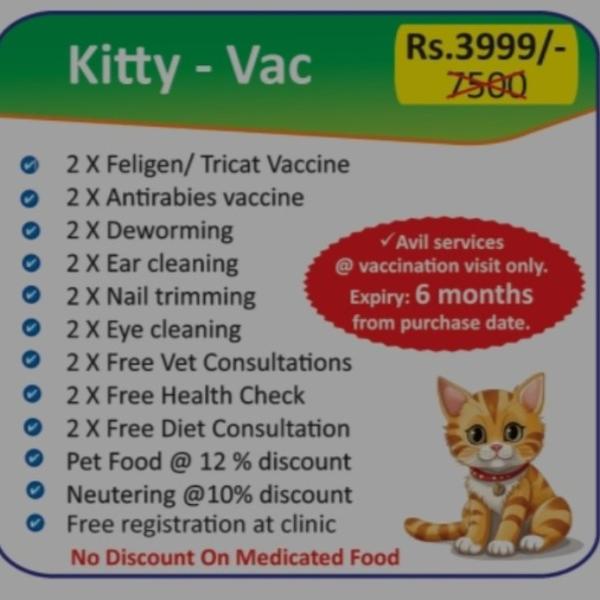 Trusted animal hospital in che