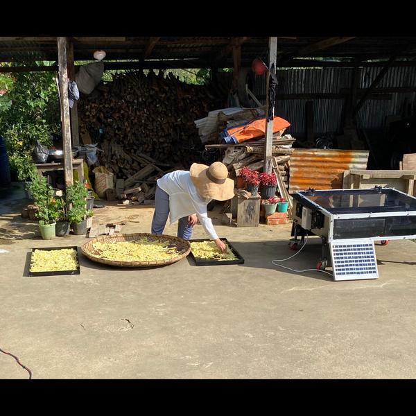 Solar Dryer in Manipur | Impact on Farmers’ Liveli