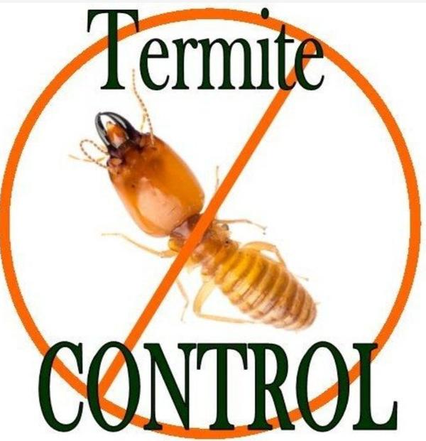 Termite control
