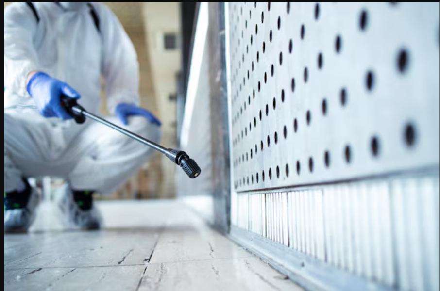 eco friendly pest treatment gr