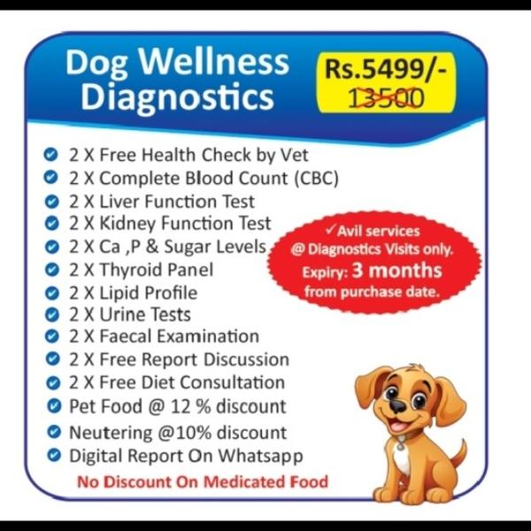 Trusted animal hospital in che