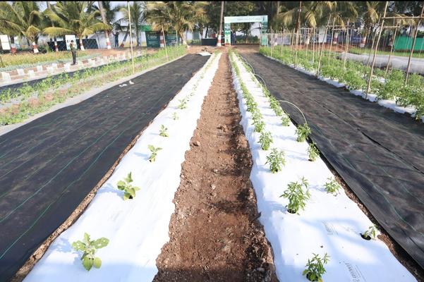 Top White Mulching Film Paper Manufacturers in Ind