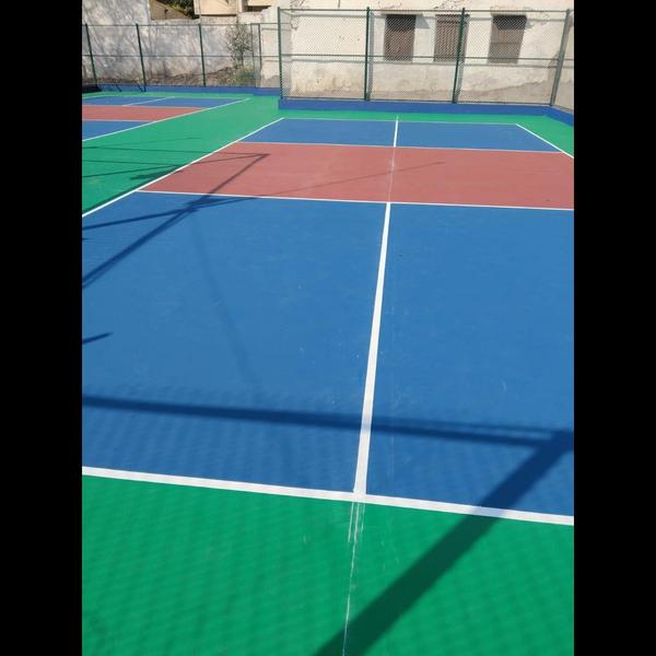 Pickleball Description 🏓 **Excel Sports Internati