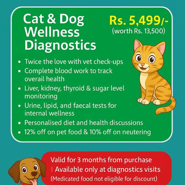 Trusted animal hospital in che