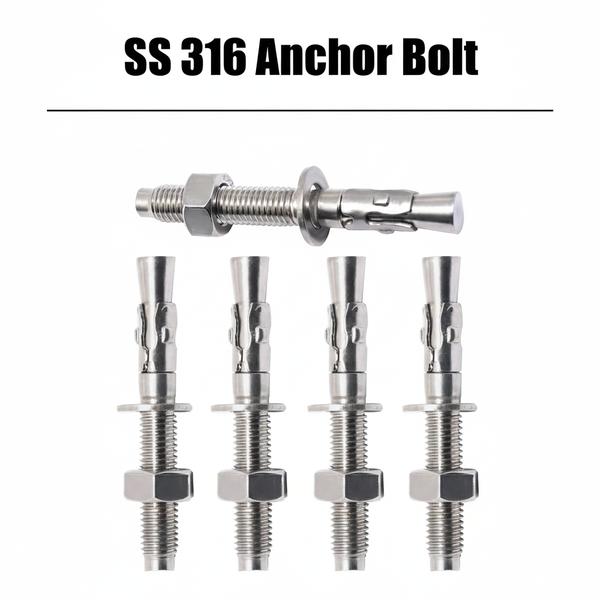 SS 316 M6 Anchor Bolt SS 316 M8 Anchor Bolt SS 316