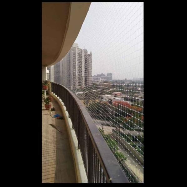 **Bird Netting is an effecti