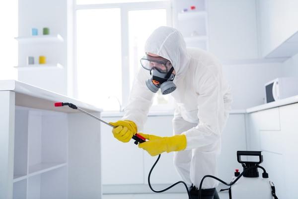 preventive pest maintenance de