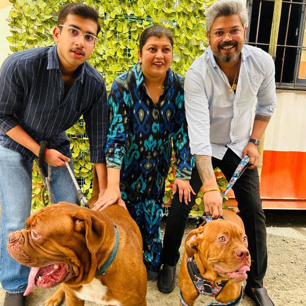 vaccinated dewormed vet checke