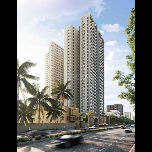 anamika high point premium fla