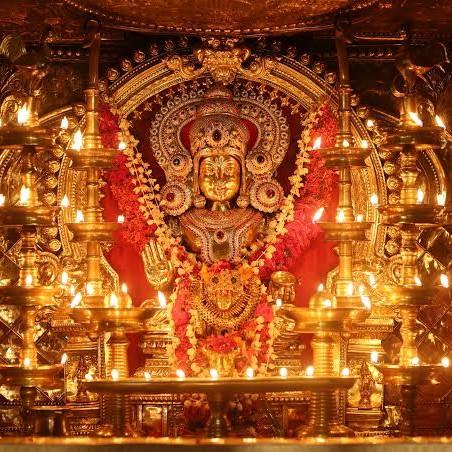 rahu ketu shanti puja astrolog