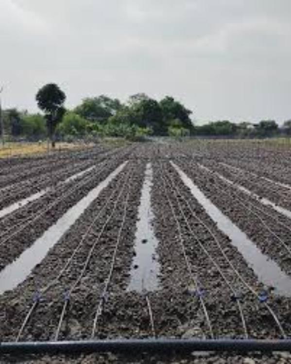 Searching for all drip irrigation products in Nagp
