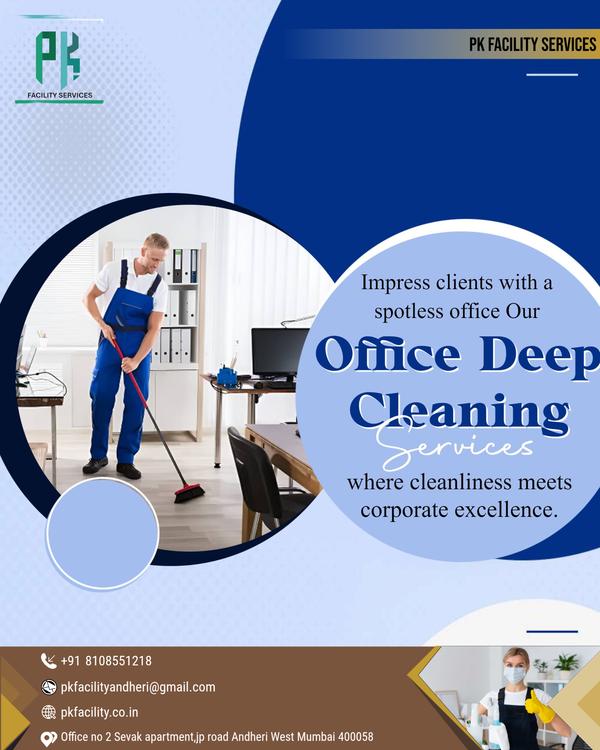 professional home cleaning ser