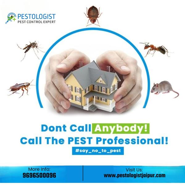 Pest Control In Jaipur Pe