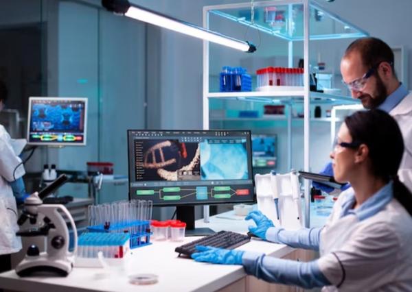 digital report generation in d