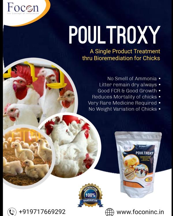 Introducing POULTROXY by 