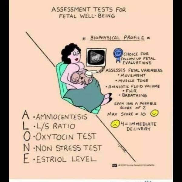 cardiac stress testing rohini