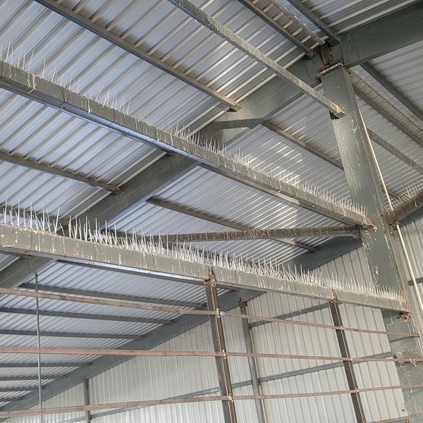 Best Polycarbonate Bird Spikes