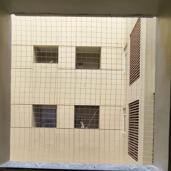 Best Bird Netting Services in 