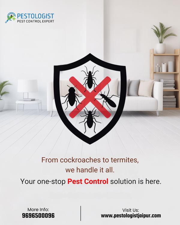 Pest Control In Jaipur Pe