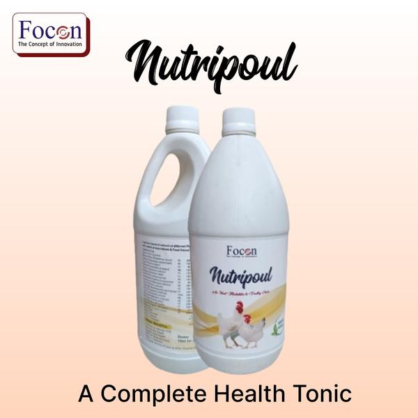 FOCON Inc offers NutriPou