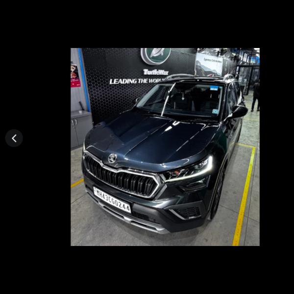 exterior polishing and detaili