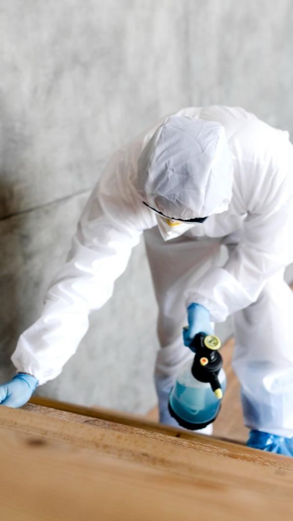 Dealing with bed bugs can be d