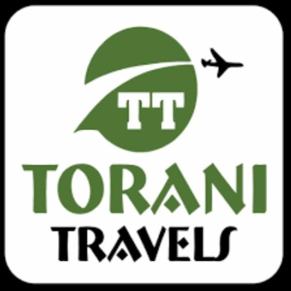 Looking for the Best Travel Ag