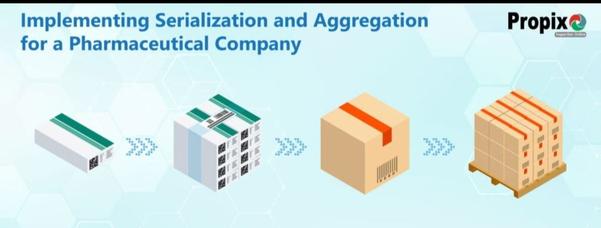 At Propix Technologies Pvt Ltd in Pune, Serializat