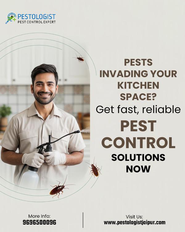 Pest Control In Jaipur Pe