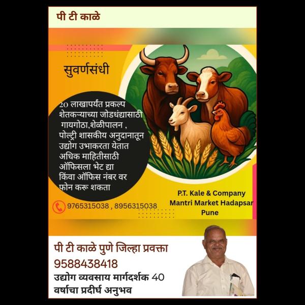 p t kale educational consultan