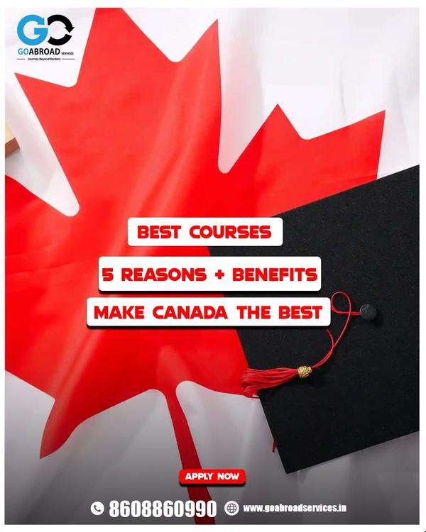 engineering programs in canadi