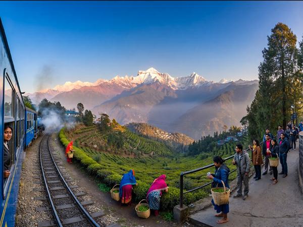 Darjeeling has become one of t
