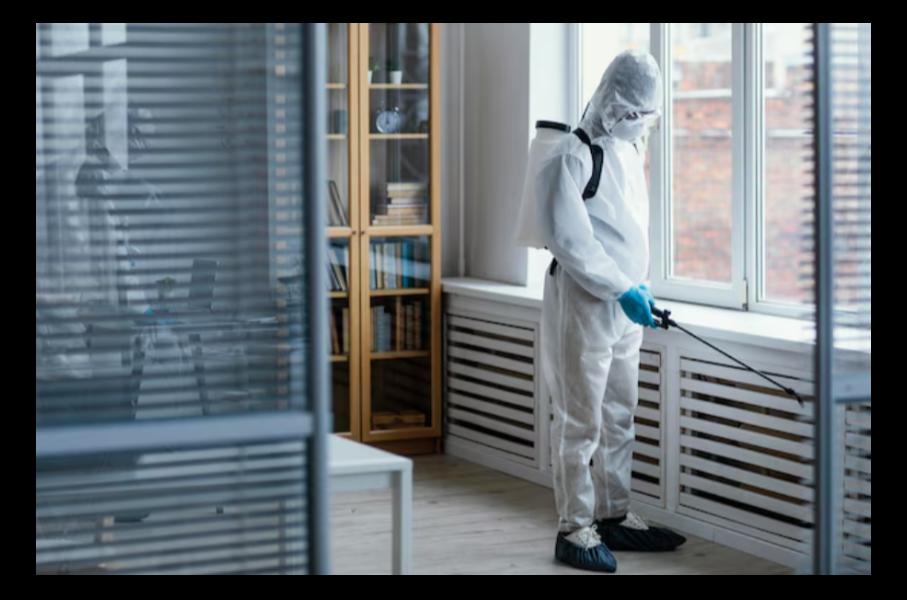 Cockroaches are more than just