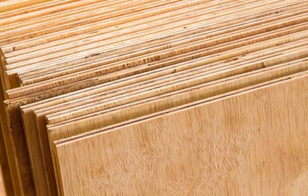 Kajaria Plywood has earne