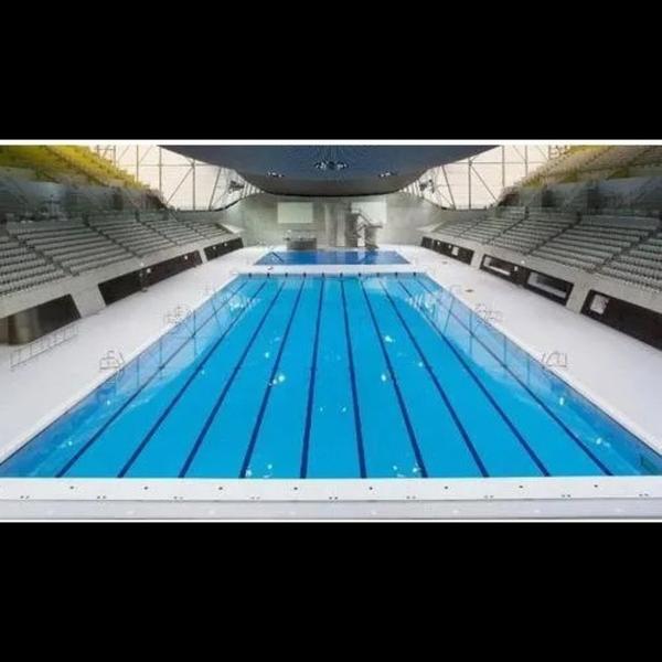 **🌊 Excel Sports International – Olympic Swimming