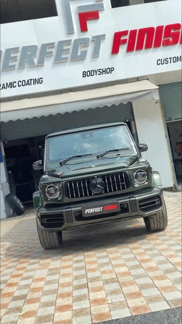 professional car paint shield 