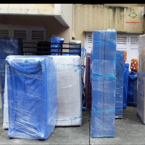 Looking for trusted Packers an