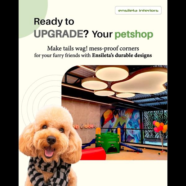 Looking for a professiona