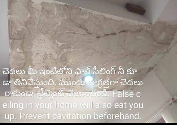 termites inspection