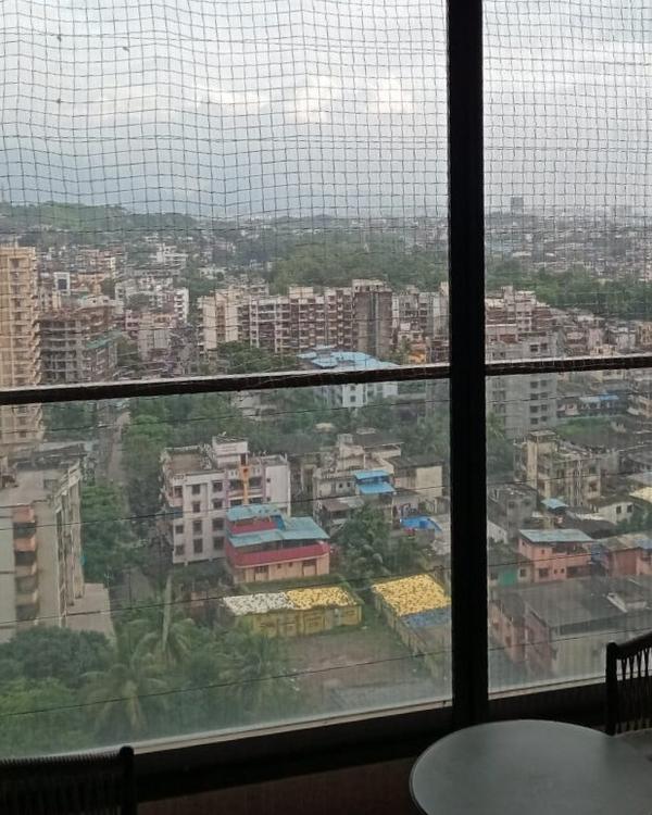 ✅ Recommended Pigeon Nets for