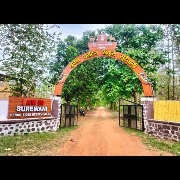 Decoration work in FRP work in Nagpur has become e