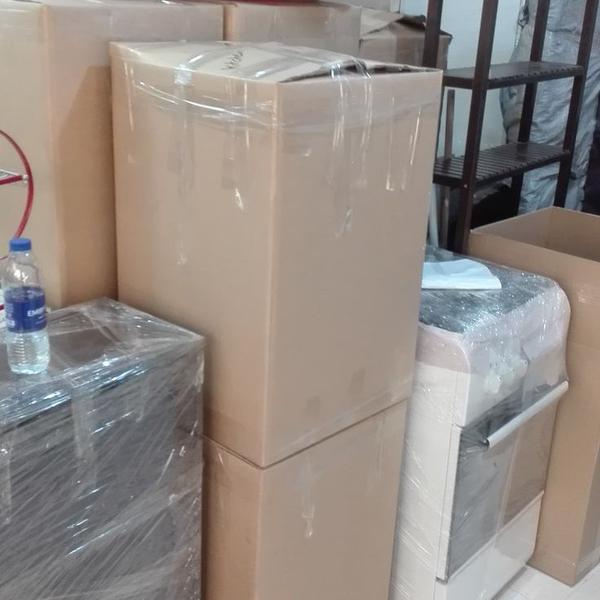 Looking for reliable Packers a